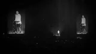 Trees - AMAZING CROWD - Twenty One Pilots - Live -