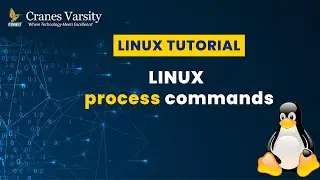 Linux Process Commands