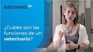 ¿Cuáles son las funciones de un veterinario?