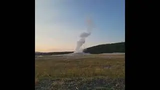 Old Faithful August 2024