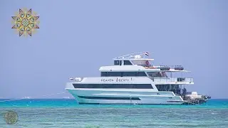 Круиз - ретрит по Красному морю в Египте. Июнь 2024 г.