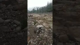 СЕЛОБА СЕГОДНЯ 24.05.2023.