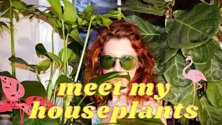 Couture Plant Tour 🌱🦩