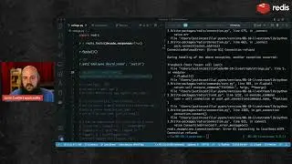 Redis Data Structures