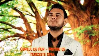 Copilul de Aur❌Pentru ce munceste omul Remix 🎧2023