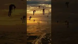 Floating Life found in the middle of the ocean (animation made in Blender) 
