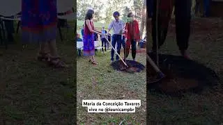 Maria da Conceição Tavares vive! Ao nosso lado, no IE Unicamp.