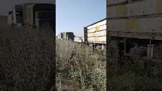 сколько пчелы пьют воды в день