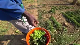 Cité des Jeunes - Agriculture