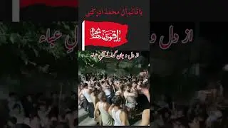 Muhiban e Zahra Jaloos 2024| شہادت امام حسن مجتبیٰ علیہ السلام|