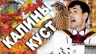 🔥КАКОЙ ГОЛОС!!!🔥Аж, мурашки по телу!  (Калины куст под баян)