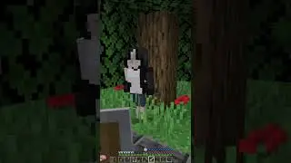 Полное видео уже у меня на канале #minecraft #майнкрафт #minecraftstory #shorts  #memes #clips