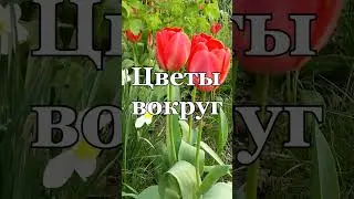 Волшебная Весна! Инструментальная музыка