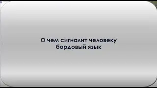 Бордовый язык - сигнал человеку. О чем?