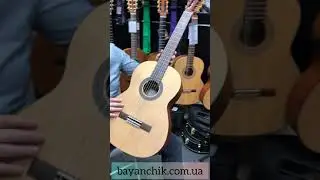 Классическая гитара Salvador Cortez CS-244