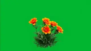 green screen flower effect | flowers green screen no copyright | green screen flower tree