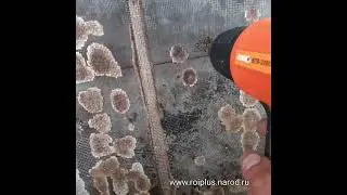Удобный способ подкормки пчёл