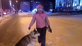 АНАБЕЛЬ и ВЕЧЕРНИЙ БАРНАУЛ 2020