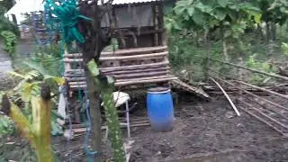 Calon Kandang Domba Semi liar