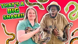 That's a BIG SNAKE! | Jonah | Kids' Club Older