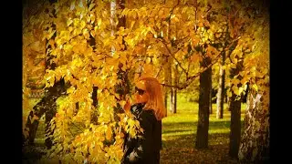 Ты ангел-птица (трек)