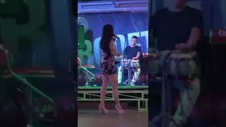dangduttop