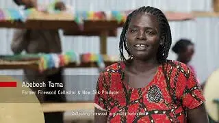 A silk thread of hope: Changing women's lives in Ethiopia through green jobs