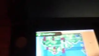 Shiny torchic in Alpha sapphire!