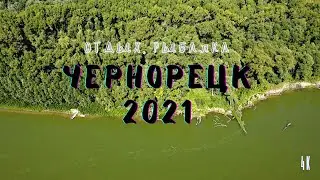 Чернорецк. Отдых. Рыбалка. Съемка дроном DJI Mini 2 Fly More Combo. Видео 4к.