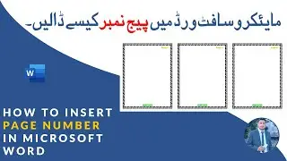 How to Insert Page Number in Microsoft Word Document