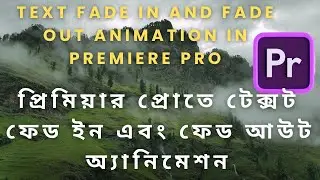 Text Animation Fade In and Fade Out  in Premiere Pro effect