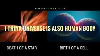 Looking at this video , i think universe is also human body