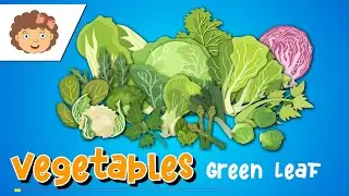 Cartoon - 16 Type of Vegetables Green Leaf - HQ Green Screen - Free to Use - No Copyright