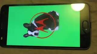 Verizon Motorola wont stop looping