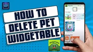 How To Delete Pet In Widgetable [Easy Fix]