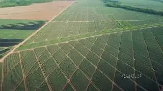 Honduras área
