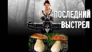 ОШЕЛОМИТЕЛЬНАЯ ГРИБАЛКА И ЗАКРЫТИЕ СЕЗОНА, ТАКОГО Я ЕЩЁ НЕ ВСТРЕЧАЛ В ПОДМОСКОВЬЕ.