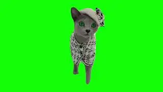Luxury Catwalk Memes | Green Screen HD
