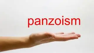 How to Pronounce panzoism - American English