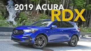 2019 Acura RDX Review: Craig Cole Makes Some Puns