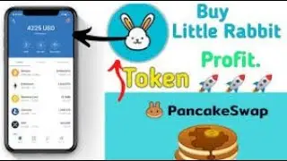 LITTLE RABBIT TOKEN