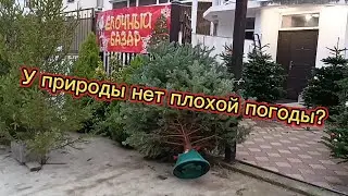 Зима в Лазаревском / Снова шторм!