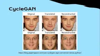 Practical Machine Deep Learning - MS1