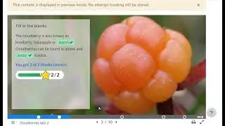 H5P Course Presentation Sample for LMS