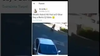 Funny reels
