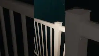 США - ЗВУКИ ПРИРОДЫ НОЧЬЮ