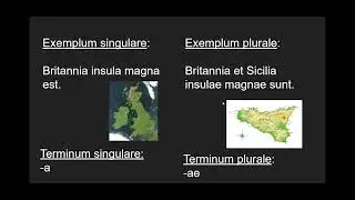 Grammatica Latina  Singularis et Pluralis