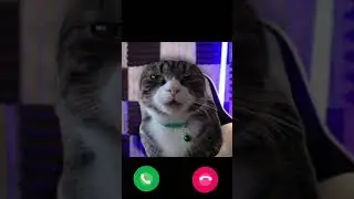 АХПХП ЧТО Я СДЕЛАЛ #viral #viralvideo #viralshort #viraltiktok #viralshorts #viralvideos #viralsong