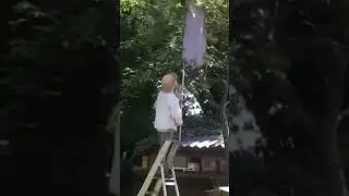 Как не надо снимать рои!))))
