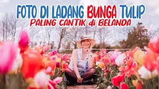 FOTO DI LADANG BUNGA TULIP PALING CANTIK DI BELANDA